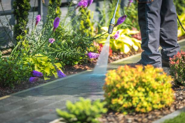 Best Dumpster Area Cleaning  in Wormleysburg, PA